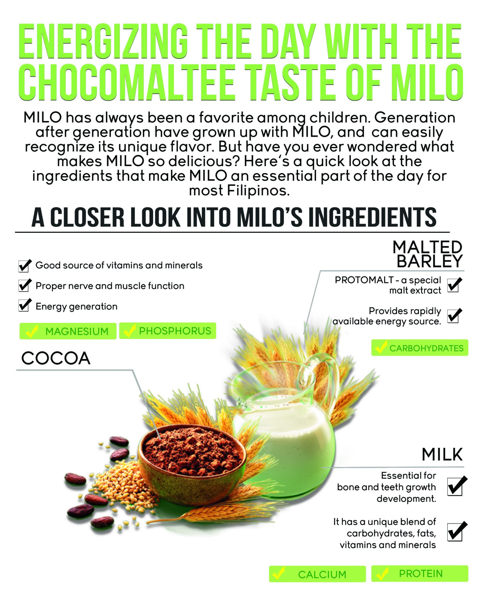 Milo Taste Infographic_FINAL