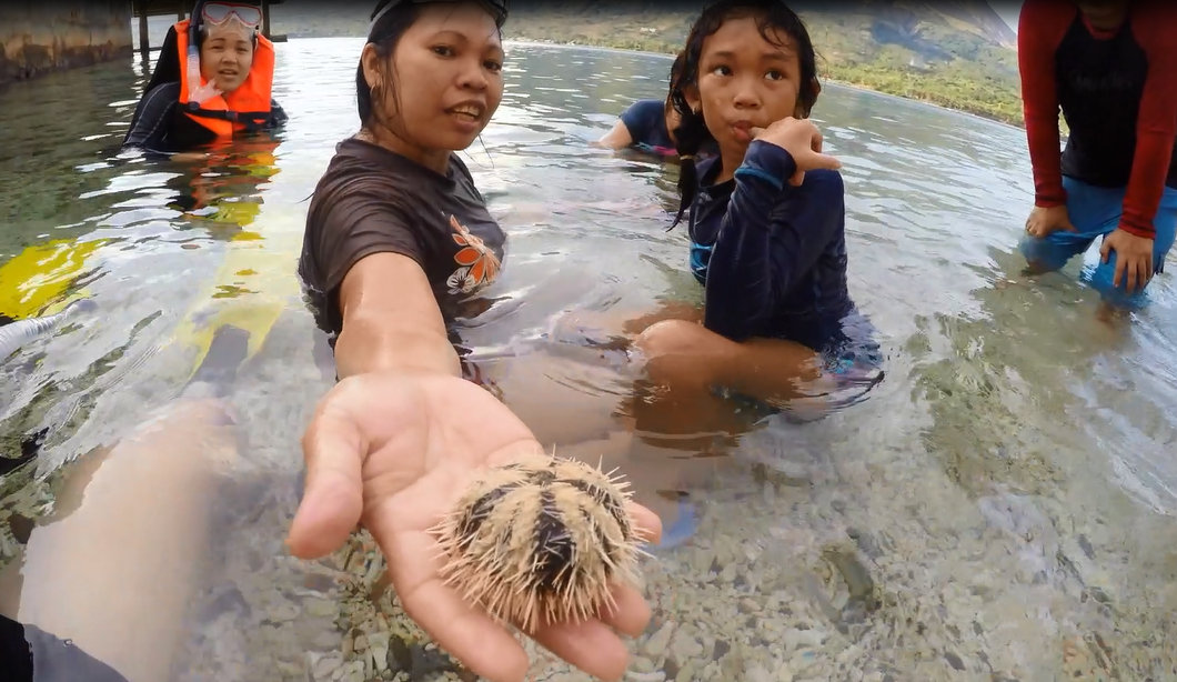 sea-urchin-bellarocca