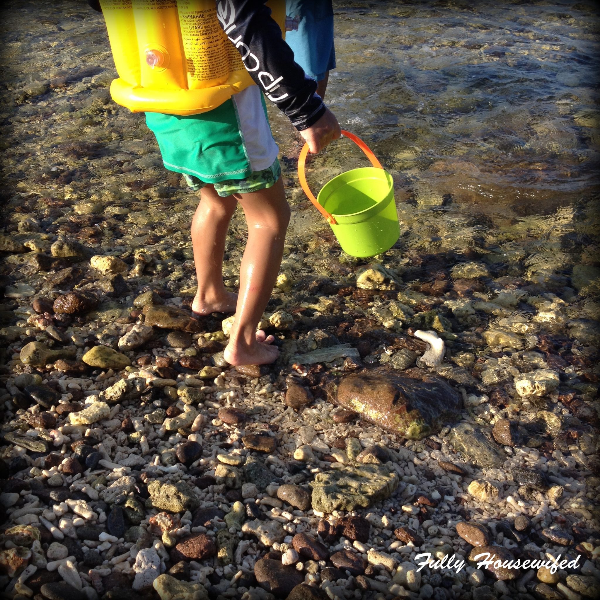 rocky-beach