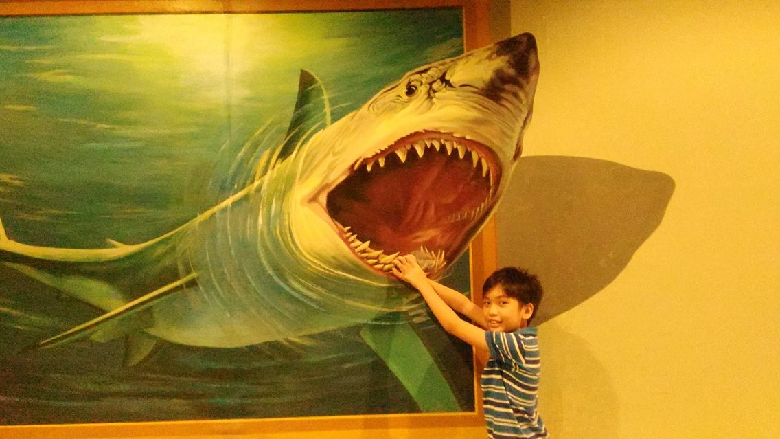 shark-art-kids
