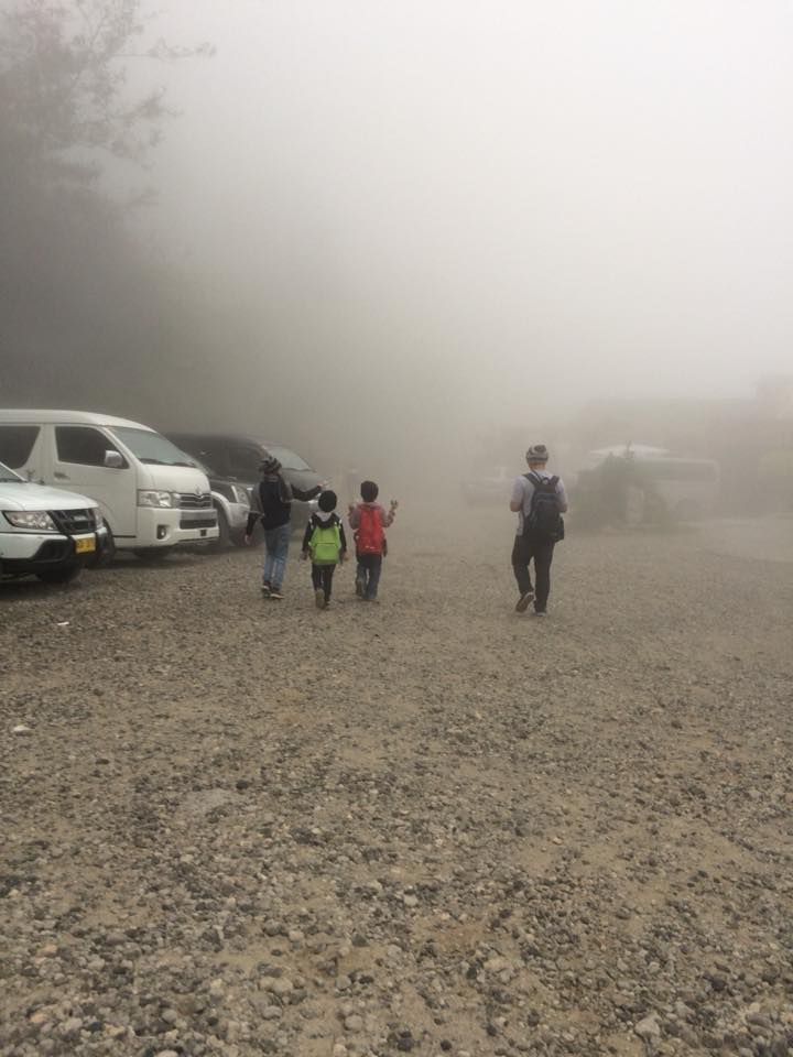 fog-baguio-ecopark