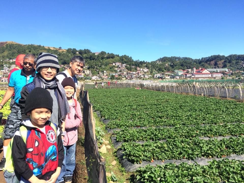 family-strawberry-farm