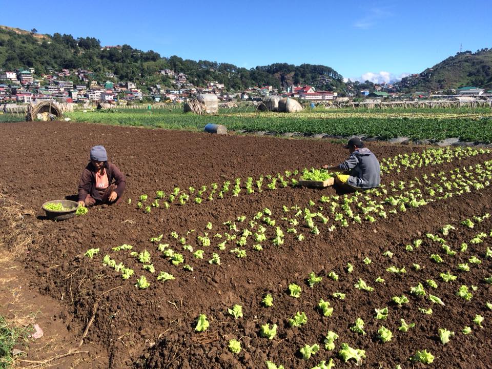 farmers-at-work