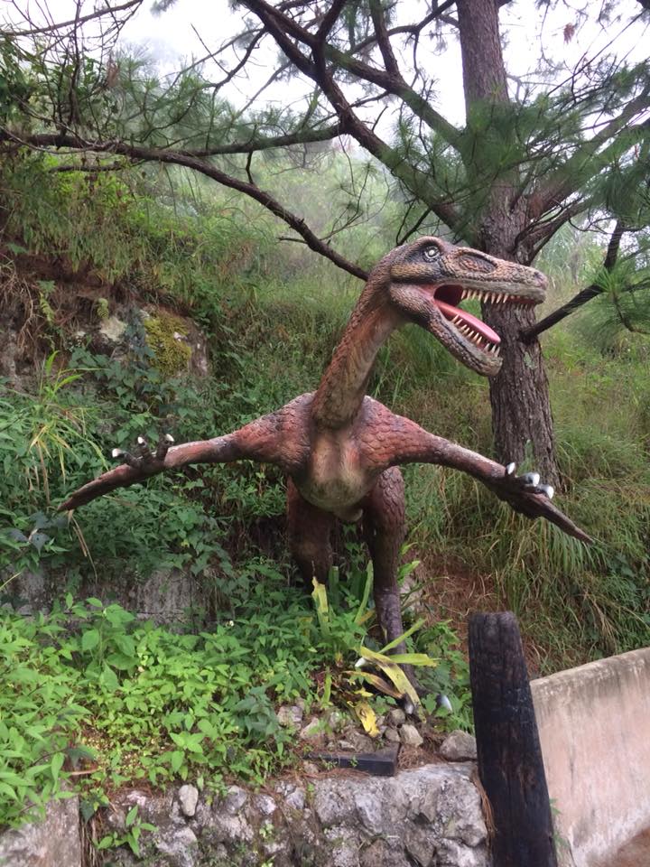 dinosaur-non-flying