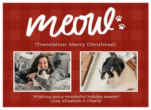 cat-holiday-card